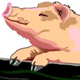 Piggie's Avatar